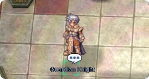 Guardian Knight