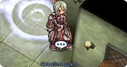 Rebellion Guard at door