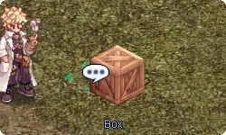 Woodbox inside the Cor Memorial instance