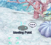 Report