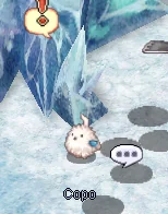 Collect cells