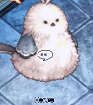 Talk to Toreru