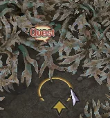 Serpent Form
