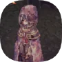 NPCs