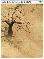 Dimensional Earth East Card