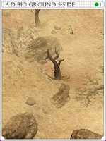 Dimensional Earth South Card