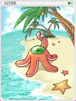 Aster Card