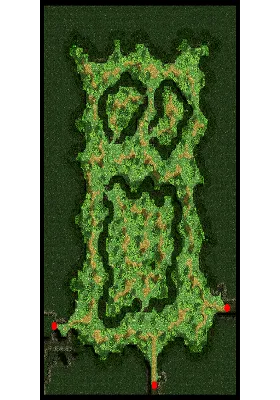 Payon Forest map