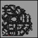 R&D-WISH