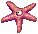 Aster
