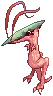 Novus