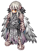 Gray Valkyrie