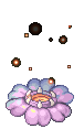 Firafflesia